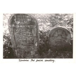 Zambrów. The jewish cemetery. / Rewers: Zambrów. Bialystok region. Tombstones on jewish cemetery. Photo by T. Wiśniewski 1989.