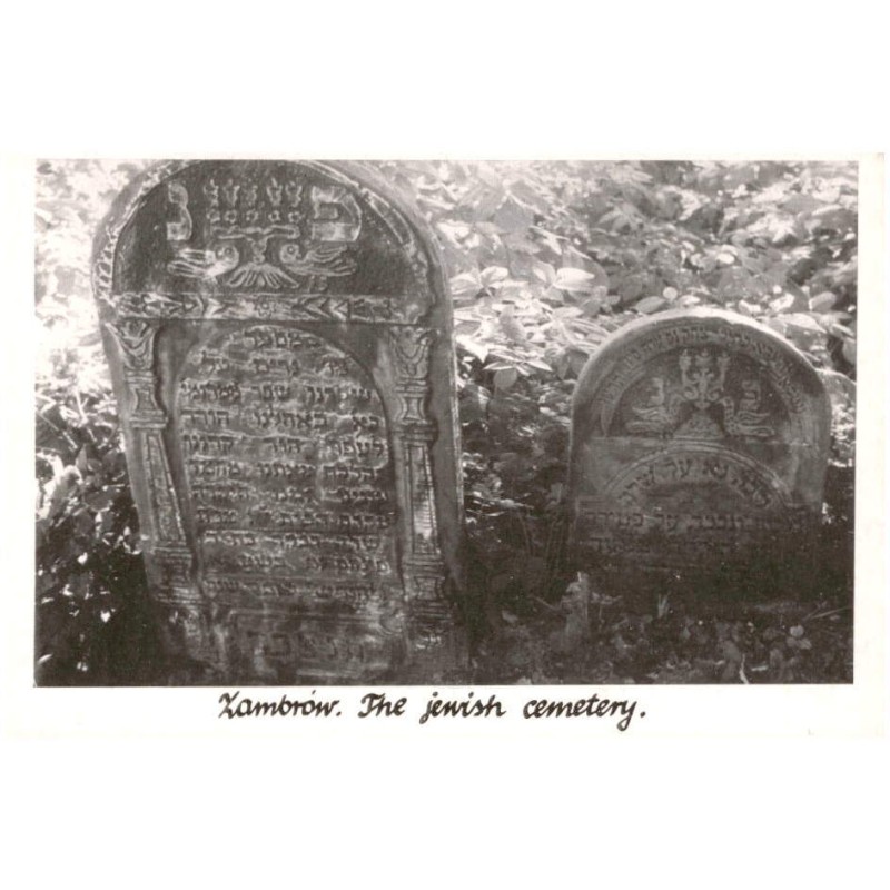 Zambrów. The jewish cemetery. / Rewers: Zambrów. Bialystok region. Tombstones on jewish cemetery. Photo by T. Wiśniewski 1989.