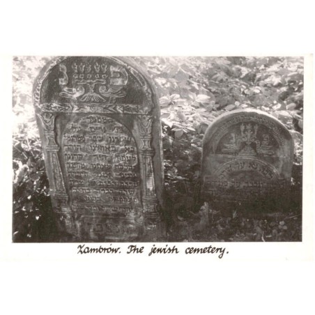 Zambrów. The jewish cemetery. / Rewers: Zambrów. Bialystok region. Tombstones on jewish cemetery. Photo by T. Wiśniewski 1989.