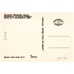 Zambrów. The jewish cemetery. / Rewers: Zambrów. Bialystok region. Tombstones on jewish cemetery. Photo by T. Wiśniewski 1989.