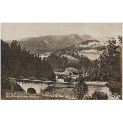 Bad Kudowa. Bahnstrecke Reinerz / Kudowa