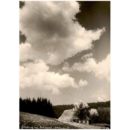 Frühling im Erlitztal (Schlesien) Popp 99