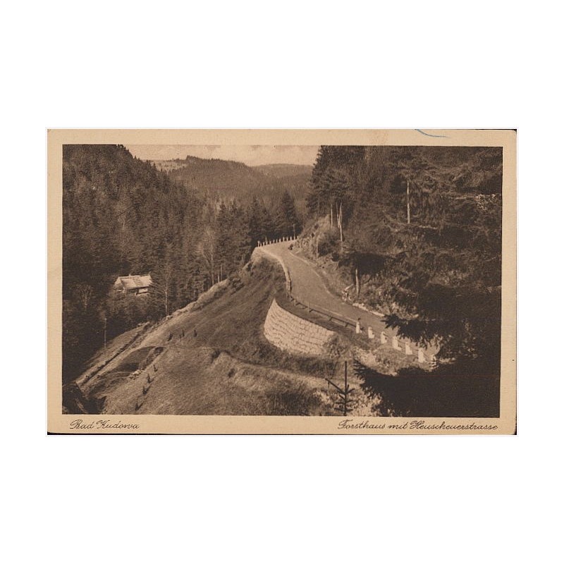 Bad Kudowa. Forsthaus mit Heuscheuerstrasse