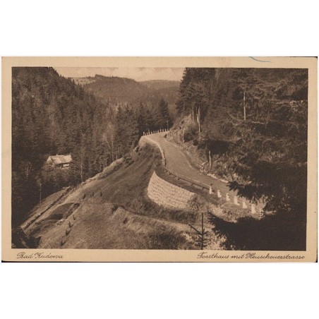 Bad Kudowa. Forsthaus mit Heuscheuerstrasse