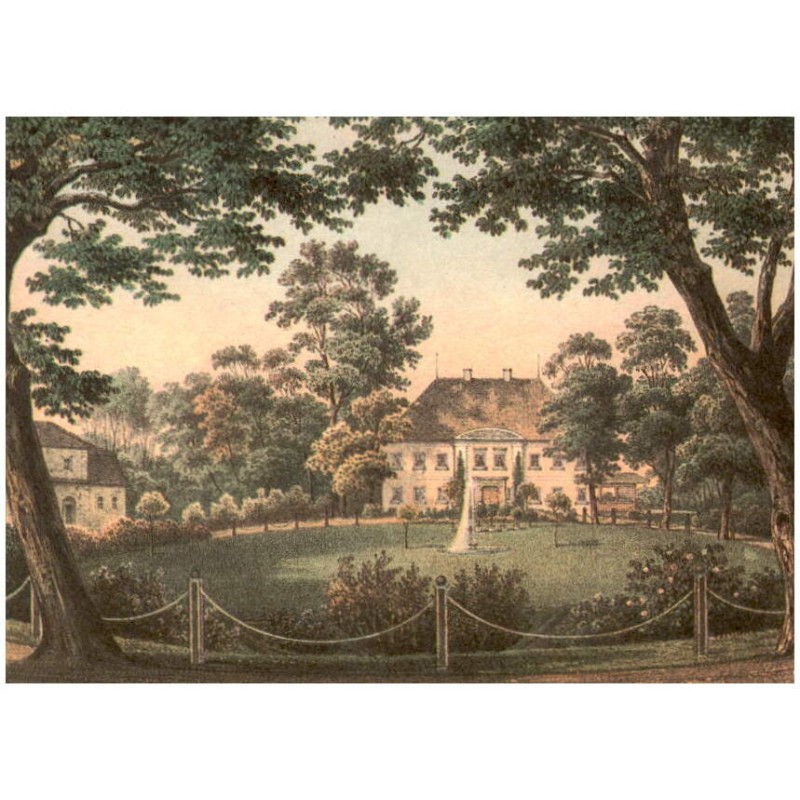 Zamek - Wojszyn. Borkau