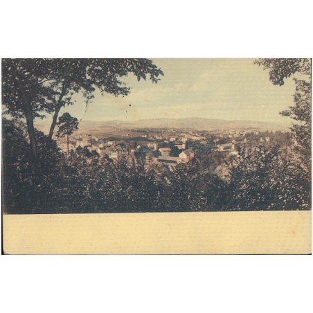 Bad Kudowa. Panorama