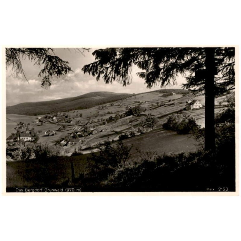 Das Bergdorf Grunwald (970 m). Marx 2123