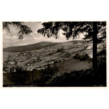 Das Bergdorf Grunwald (970 m). Marx 2123