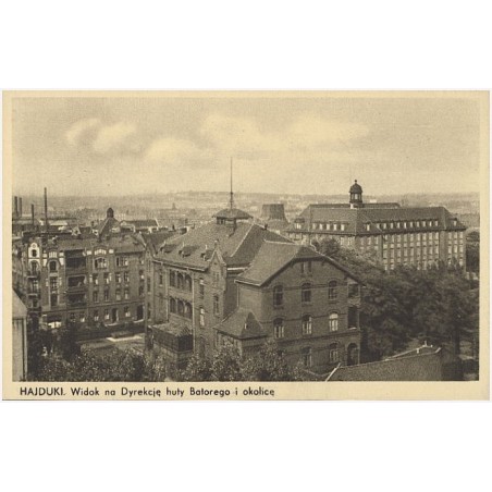 Hajduki. Widok na Dyrekcję huty Batorego i okolicę