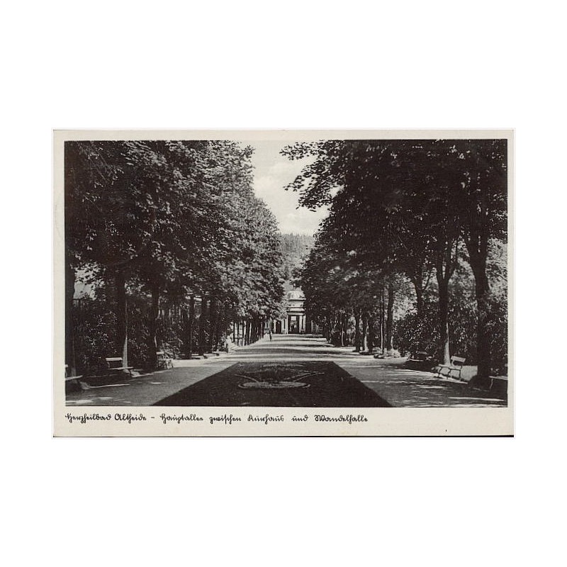 Herzheilbad Altheide - Hauptallee zwischen Kurhaus und Wandelhalle