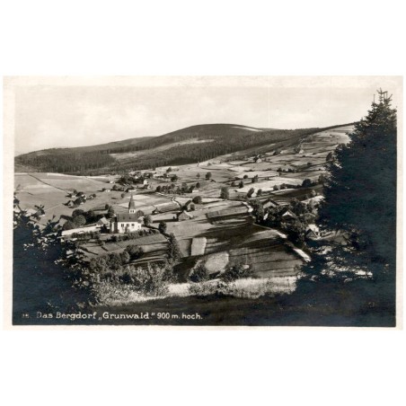 25. Das Bergdorf "Grunwald." 900 m. hoch.