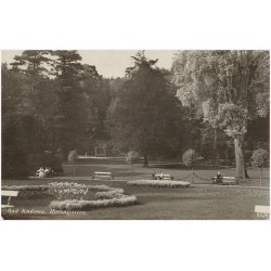 Bad Kudowa. Rosengarten. 9526