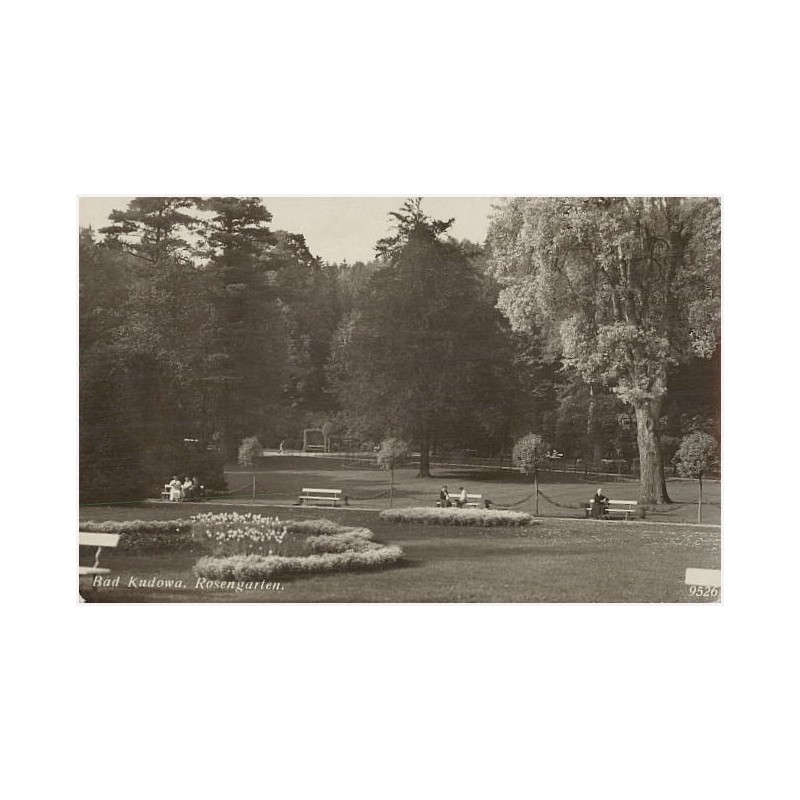 Bad Kudowa. Rosengarten. 9526