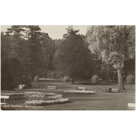 Bad Kudowa. Rosengarten. 9526