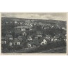 Panorama von Bad Altheide