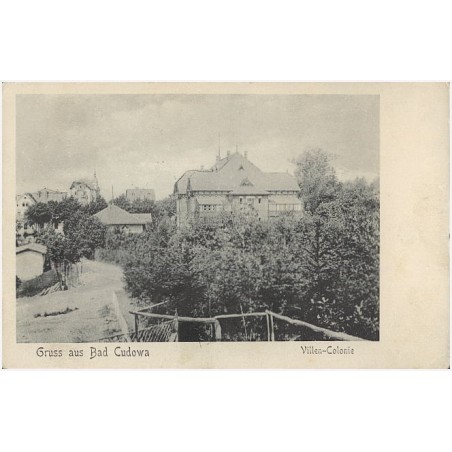 Gruss aus Bad Cudowa. Villen-Colonie
