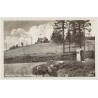 Grafschaft Glatz. Hindenburg Baude 975 m. 10870