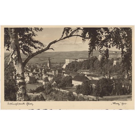 Festungsstadt Glatz. "Marx" Photo 1203