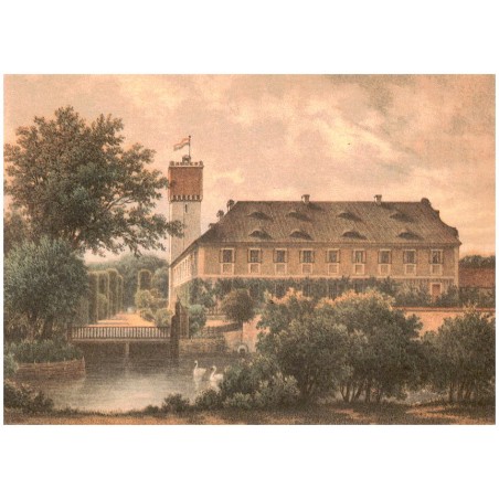 Zamek - Wierzbice. Schlanz