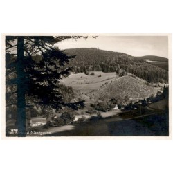 203. Blick i.d. Glasegrund