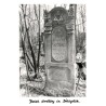 Jewish cemetery in Bialystok. / Rewers: Bialystok. "Bagnowke" jewish cemetery. Founded ca 1890 y. Photo by A. Stasiak (1982). BB