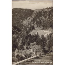 Bad Kudowa. Forsthaus u. Heuscheuerstraße. 130