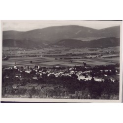 Mittelwalde (Grafsch. Glatz) - Blick v. Hirschenwald 6778
