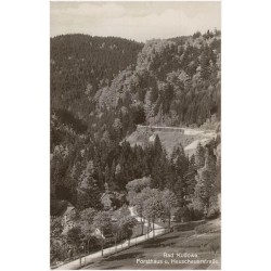 Bad Kudowa. Forsthaus u. Heuscheuerstraße. 130
