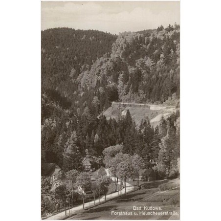 Bad Kudowa. Forsthaus u. Heuscheuerstraße. 130