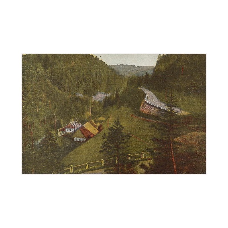 Ober-Kudowa. Heuscheuerstaße. Tal nach dem Forsthausrestaurant