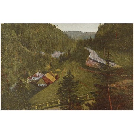 Ober-Kudowa. Heuscheuerstaße. Tal nach dem Forsthausrestaurant