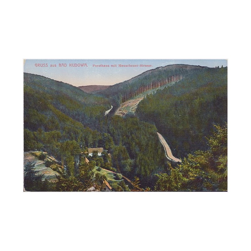 Gruss aus Bad Kudowa. Forsthaus mit Heuscheuer-Strasse