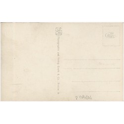 Herzheilbad Altheide. Kuranlagen am Charlotten-Spurdel. 7274