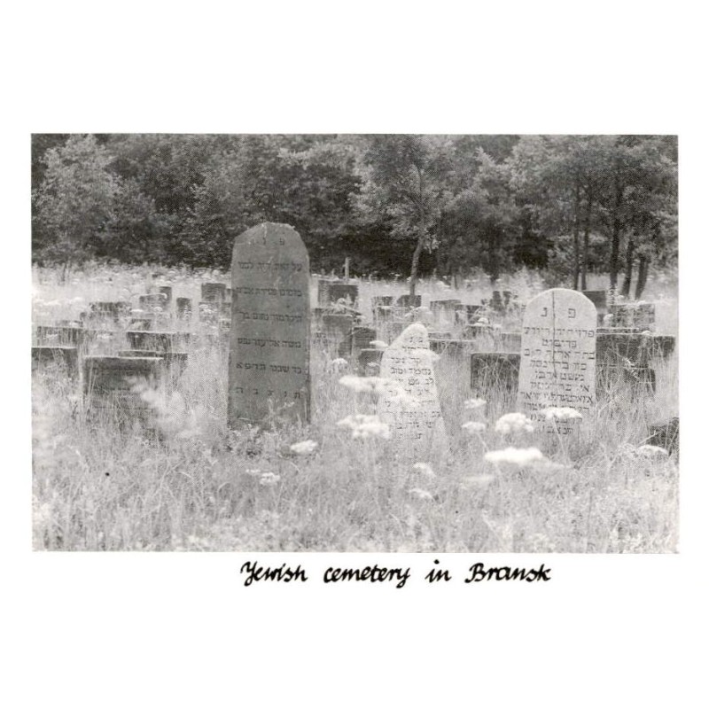 Jewish cemetery in Bransk / Rewers: Bransk. Jewish cemetery after reconstruction and renovation by local committee. Photo by Tom