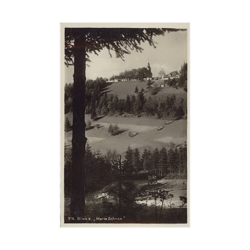 316. Blick z. "Maria Schnee". [...]