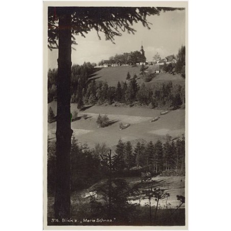 316. Blick z. "Maria Schnee". [...]