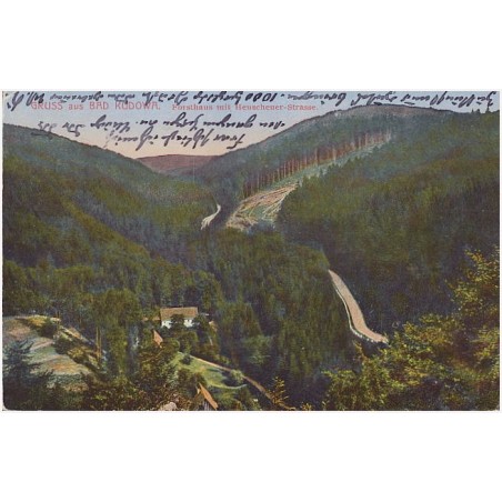 Gruss aus Bad Kudowa. Forsthaus mit Heuscheuer-Strasse