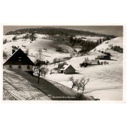 262. Im Sportgelände b/Reinerz.