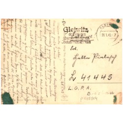 [Ziemia kłodzka. Pejzaż, chłopiec z krowami] 3596 Popp