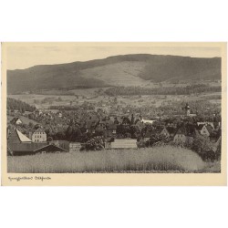 Herzheilbad Altheide
