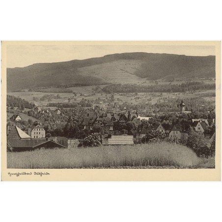 Herzheilbad Altheide
