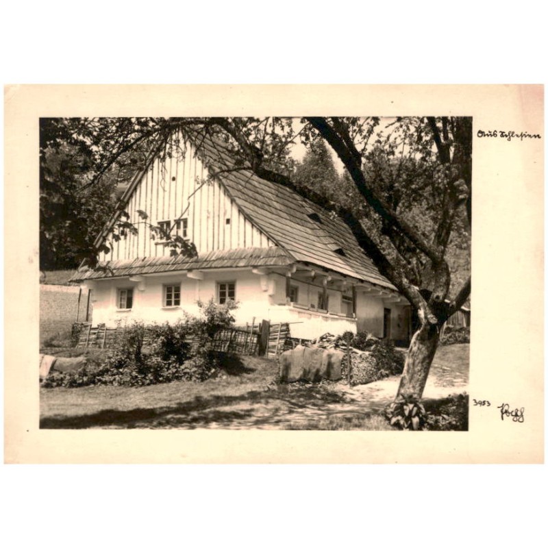 Aus Schlesien 3953 Popp