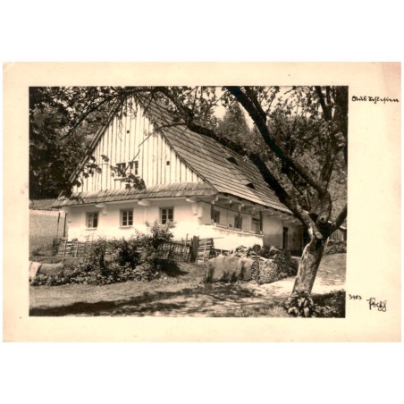 Aus Schlesien 3953 Popp