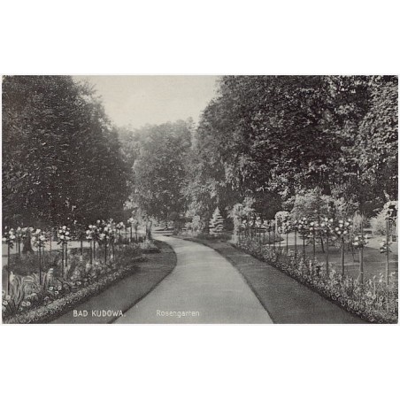 Bad Kudowa. Rosengarten
