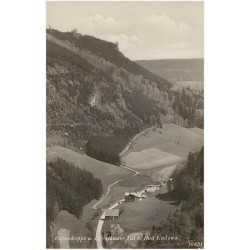 Rabenkoppe u. Dörnikauer-Tal b. Bad Kudowa. 10823