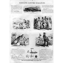 Rozmaite gatunki szarańczy. Nr 1 Szarańcza wędrowna. Nr 2 Przybysze. Nr 3 Lichwiarze. Nr 4 Guwernerowie i guwernantki. Nr 5 Lino