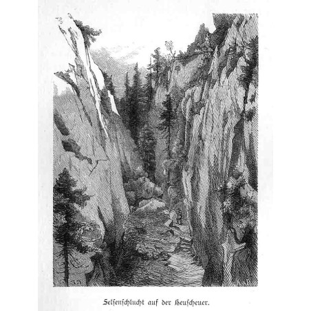 "Felsenschlucht auf der Heuscheuer."