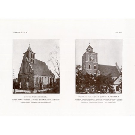 Zubrzycki: Skarb 3. Tabl. 222. [1] Kościół w Międzyrzeczu [2] Kościół w Nieszawie / "ZUBRZYCKI: SKARB III. TABL. 222. [1] KOŚCI