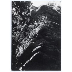 "Okolice Radkowa - malownicze skały w pobliżu kamieniołomów piaskowca 36-599"