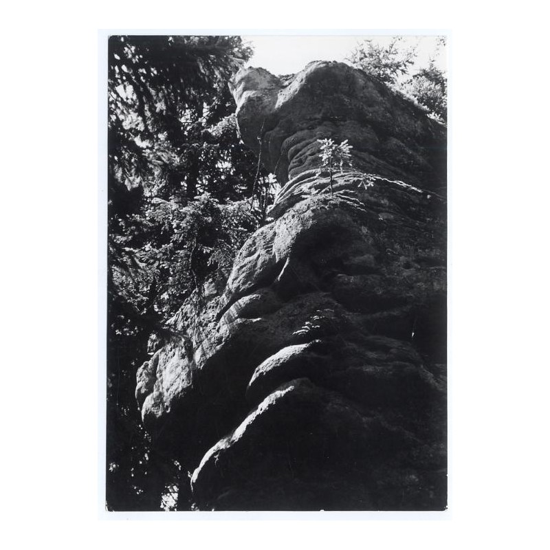 "Okolice Radkowa - malownicze skały w pobliżu kamieniołomów piaskowca 36-599"